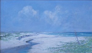 The Beach at Kamehama Nui by D. Howard Hitchcock